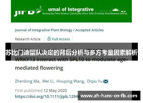 苏比门迪留队决定的背后分析与多方考量因素解析