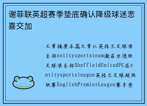谢菲联英超赛季垫底确认降级球迷悲喜交加