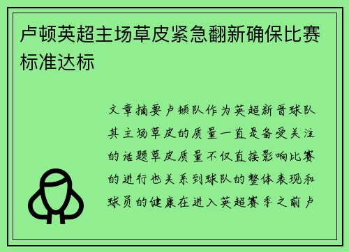 卢顿英超主场草皮紧急翻新确保比赛标准达标